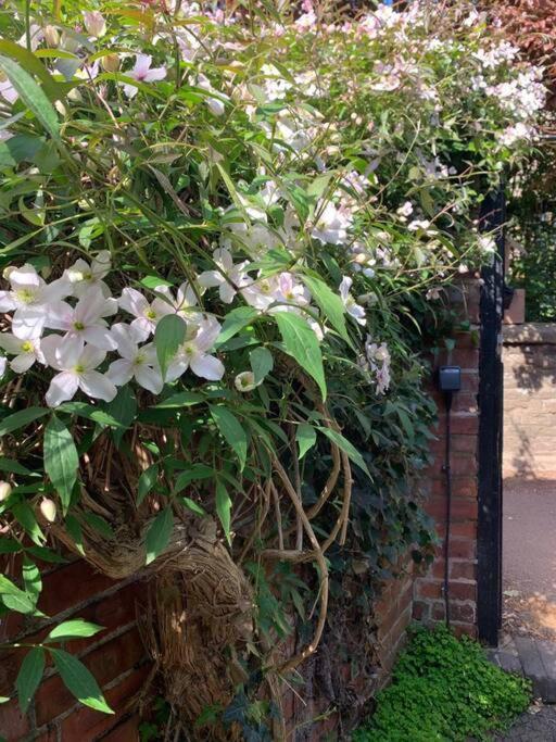 Beautiful Georgian Cottage Within A Private Walled Garden Oakham Dış mekan fotoğraf